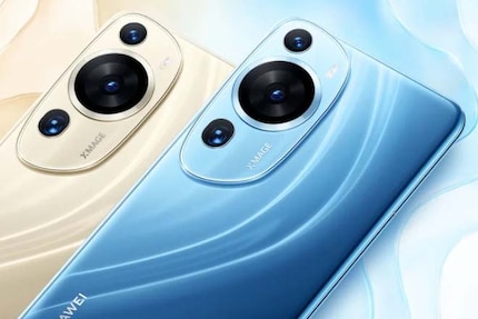 I see a surprised koala in the camera module of the P60 Art.