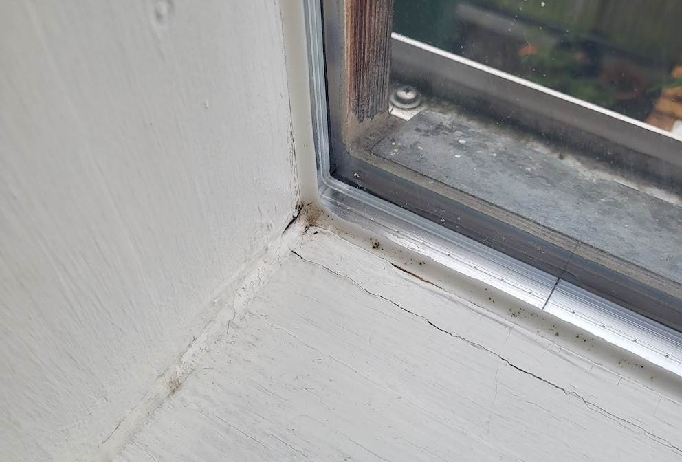 Sieht zwar schon viel besser aus. Doch perfekt ist es leider nicht geworden.