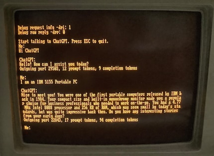 Es dauert zwar etwas, bis die Antwort erscheint, doch ChatGPT funktioniert mit MS-DOS.