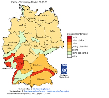 Der Deutsche Wetterdienst veröffentlicht tagesaktuelle Pollenflugdaten zu verschiedenen Heuschnupfenauslösern.