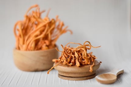 Cordyceps fungi were used in Chinese medicine as early as 1,500 years ago.