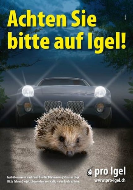 Auch mit Plakaten wird Igelschutz betrieben.