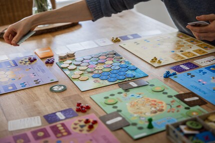 Ziel des Spiel ist es, dafür zu sorgen, dass dein Bienenvolk genügend Nahrung erhält, um den bevorstehenden Winter zu überstehen.