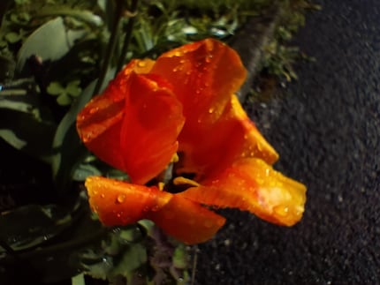 The macro camera’s not needed.