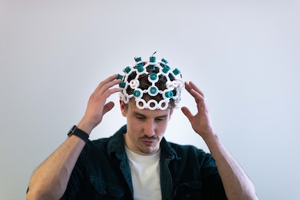 So sahen die EEG-Netze zuvor aus.