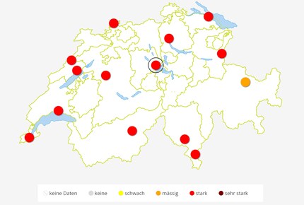 Aussicht auf Pollen-Pfingen: Die Heuschnupfen-Saison ist auf seinem Höhepunkt, vor allem die Gräserpollenbelastung ist im Moment stark.