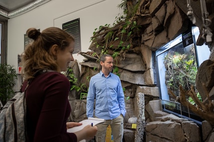 Auch Terrarien werden in der Firma in eigener Produktion hergestellt.