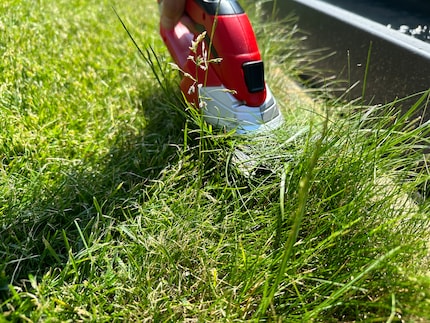 The robot lawnmower has left some blades of grass around the edge of the fountain.