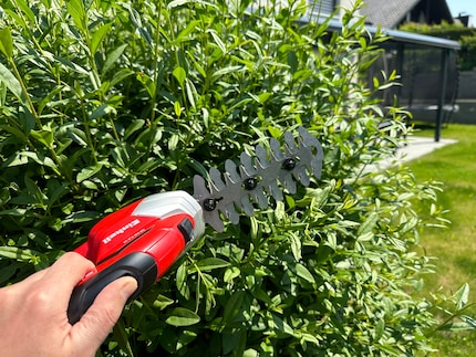 Dear Einhell, what about pruning a shrub? Yip, you can do that, too.