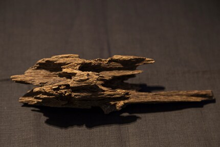 Das Holz des Adlerbaumes, auch Agarh-Holz oder Agarwood genannt.