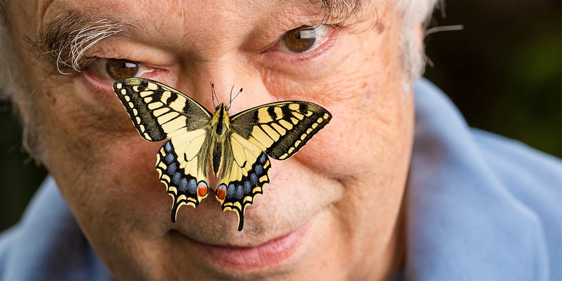 Schmetterlinge retten: Das sind Papa Papillons Geheimtipps