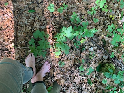 Barfuß auf dem sanften Waldboden: mein eindrücklichstes Erlebnis am heutigen Tag.