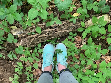 Angekommen in einer anderen Welt: Der Wald empfängt mich mit einer ganz eigenen magischen Atmosphäre.