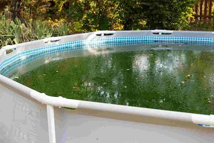 This isn't our pool, but it doesn't make you want to.