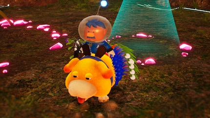 Auf dem Packesel Otschin haben alle meine Pikmin Platz.