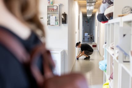 Der Weg zu den gediegenen Katzensuiten führt diesen Korridor entlang.