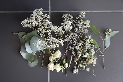 Die Guten aus dem Töpfchen: Diese Blumen und Zweige presse ich.