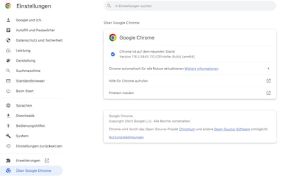 Im Menü «Über Google» kannst du auch einstellen, dass die Updates zukünftig automatisch eingespielt werden.