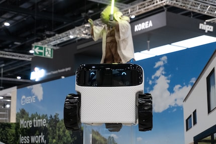 Roboter Willow wirkt sympathisch. Und Maskottchen Yoda setzt dem Ganzen das Sahnehäubchen auf.