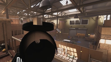 Sometimes the game positions the gun too close to my head with L2 and weird visual glitches occur.