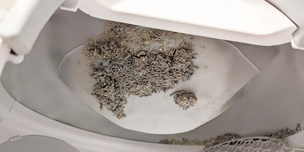 Organic litter pushes the toilet to its limits. 