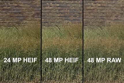 Auch im HEIF-Format kannst du jetzt die vollen 48 Megapixel speichern. Das Resultat ist besser als mit 24 Megapixel, aber nicht so gut wie im richtigen Raw-Format. Dafür brauchen HEIF-Dateien in voller Auflösung nur einen Zehntel des Speicherplatzes.