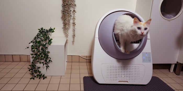 Spaceship cat litter box hot sale