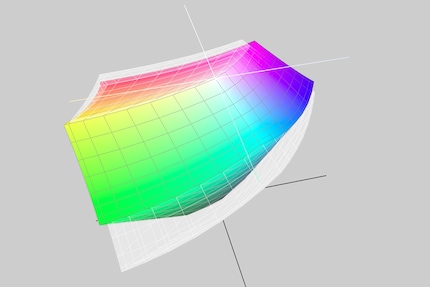 AdobeRGB (in Grau) deckt der Odyssey Neo G9 (in Farbe) für professionelle Zwecke nicht genügend gut ab.