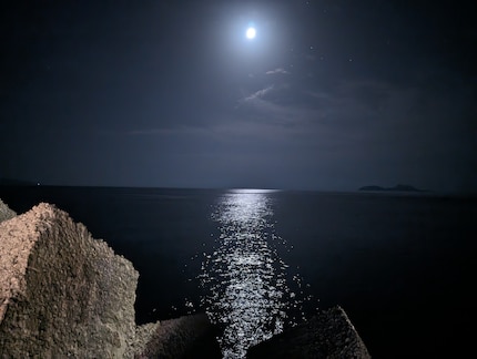 The AI does a good job of capturing the moon shining over the Paximadia Islands.