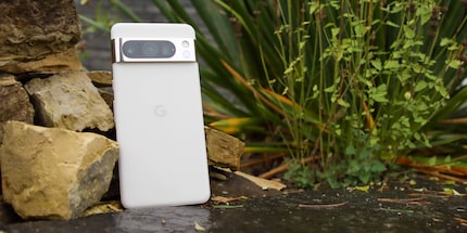 The Pixel 8 Pro is good for more than just holidays.