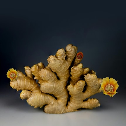 Ingwer enthält Gingerol, das durch seine antioxidativen und entzündungshemmenden Eigenschaften gegen Müdigkeit hilft.