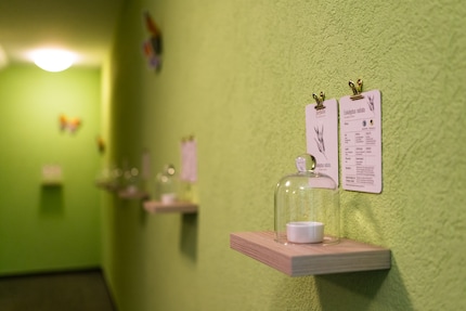 Small fragrance samples from the farfalla portfolio can be found under the glass domes along the staircase. Each fragrance opens up different worlds: from the local coniferous forest to the fields of the Congo.