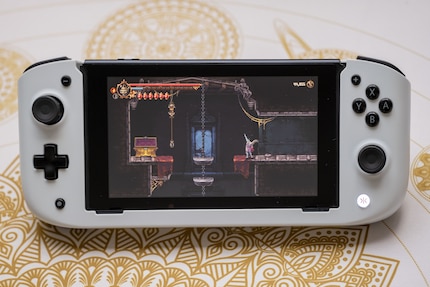 Die Bedienelemente auf der Vorderseite sind mit den Joy-Cons identisch.