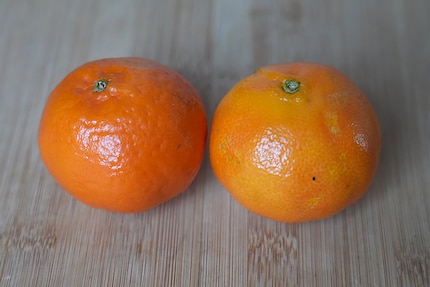 Minimal colour difference: the mandarin (l.) is slightly darker than the clementine.
