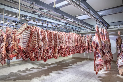 Zur Erinnerung: So sah dein gestriges Abendessen mal aus.