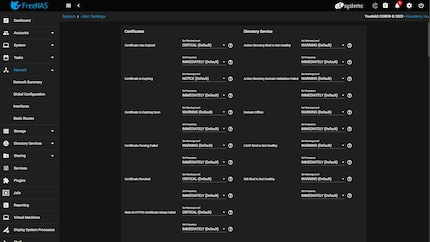 TrueNAS offers professionals many options in the submenus. I, on the other hand, feel lost.
