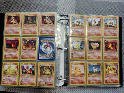 The little trading cards with the Pokémons on them filled entire folders.