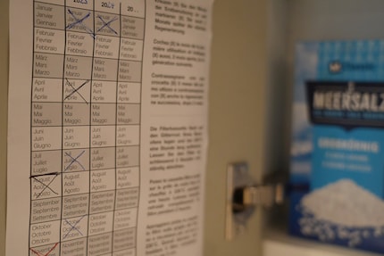 Cleaning schedule for adults: one cross every three months.