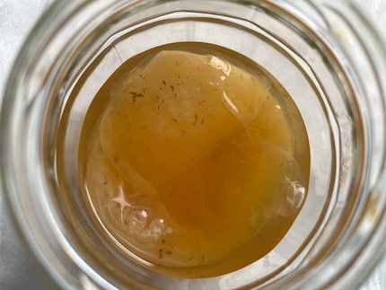 Der Beginn meiner Brau-Karriere ist ein Geschenk meiner Schwester. Darf ich vorstellen: Das ist Scoby.
