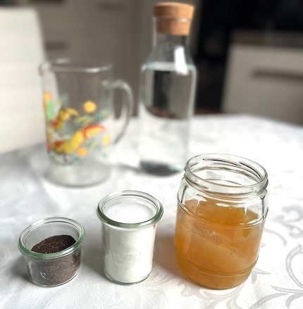Die Zutaten für den DIY-Kombucha: Scoby, Zucker, Tee und Wasser.
