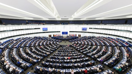 Die EU hat gute Handhabe gegen fehlbare Unternehmen.