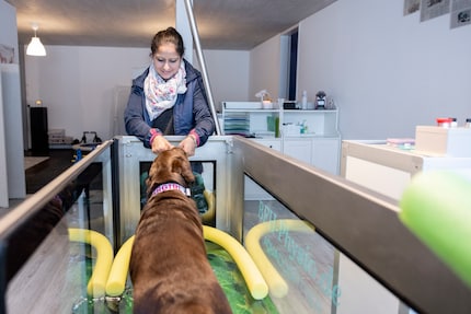 Supergirls don't cry: Saida lässt sich mit etwas Bestechung aufs Aquafit ein.