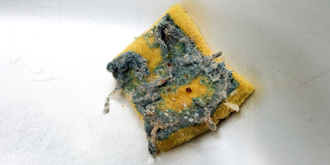 Kitchen guide: How often should I actually change my dishwashing sponge?