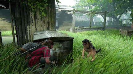 Ich bin froh, dass ich zumindest einige der Hunde in «The Last of Us Part II» verschonen konnte.