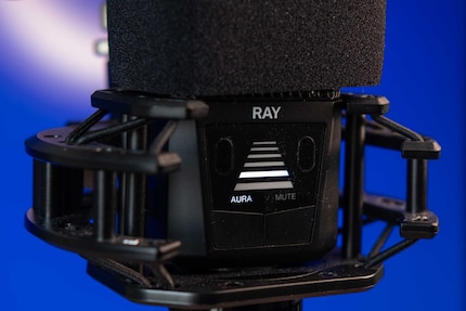 The LEDs show how far away I am from the microphone. The buttons at the bottom switch the function on or mute the microphone.