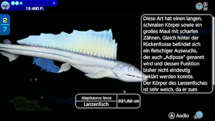 Die Textboxen lesen sich wie Pokédex-Einträge.
