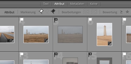 Markierte und abgelehnte Fotos in der Rasteransicht.