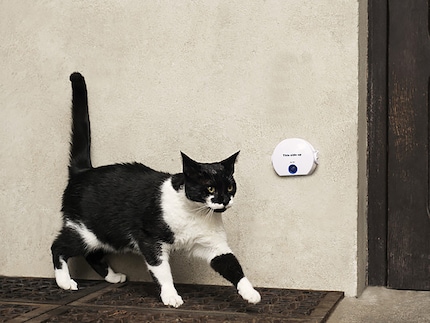 Sobald sich die Katze vor den Bewegungsmelder begibt, erklingt drinnen ein Ton- oder Lichtsignal.