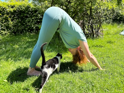 Im Garten mit Sonne und Katzenbesuch macht es gleich noch mehr Spaß.