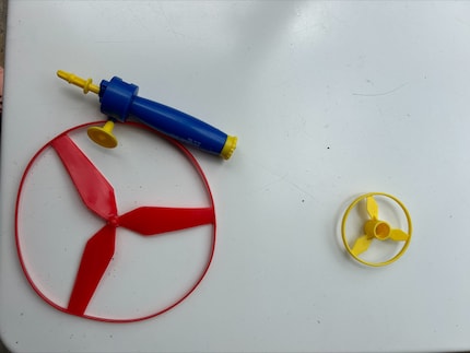 Half of my latest propeller game. The other half now lives in our hedge.
